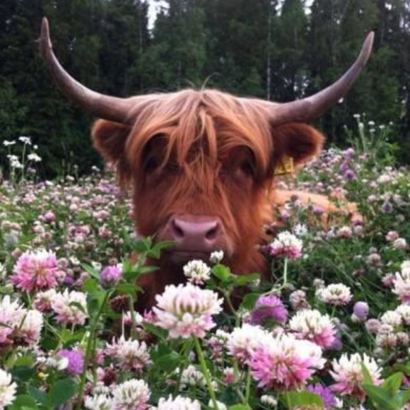 Meet your Posher, Colleen - Picture 1 of 2